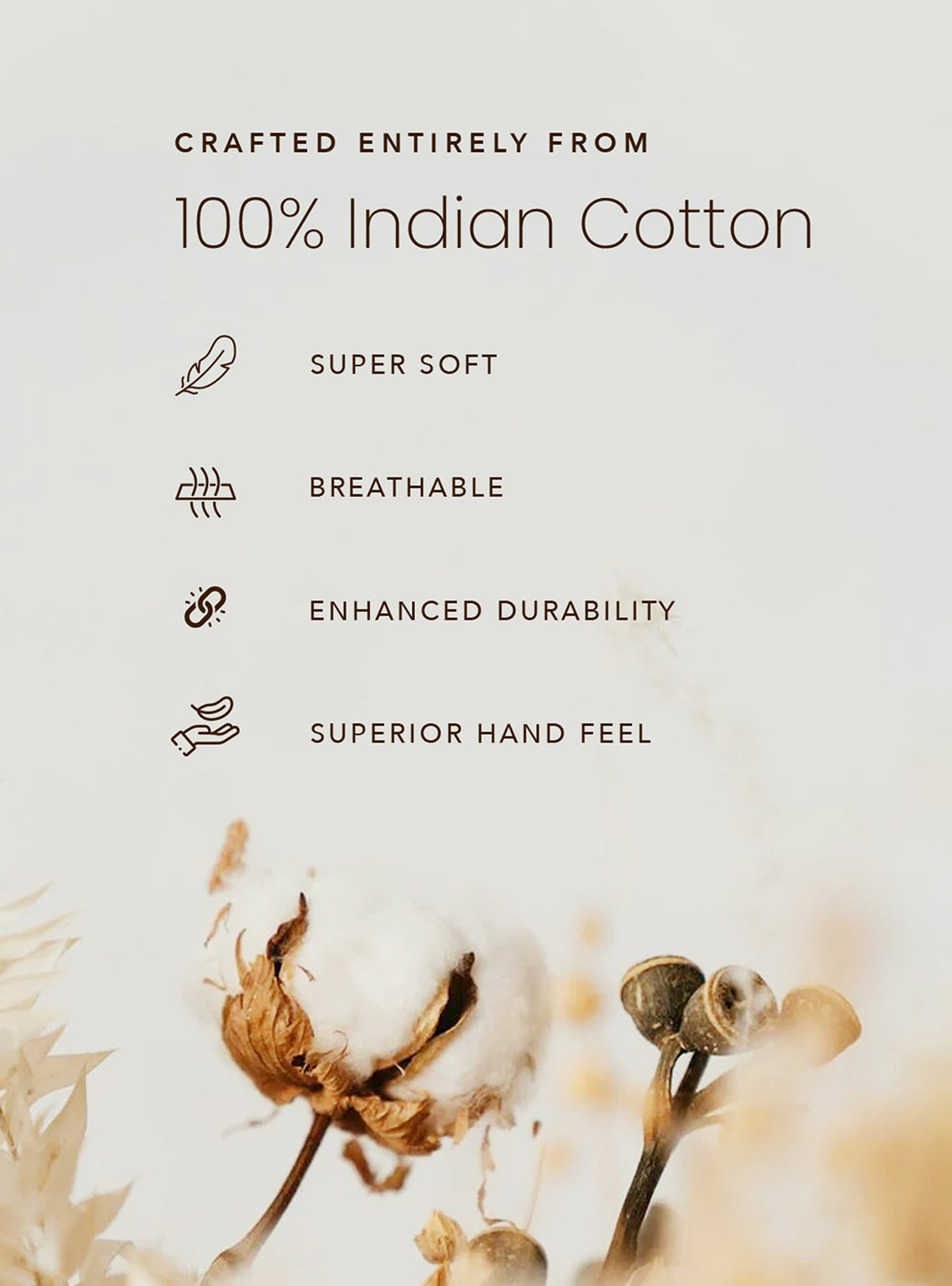 Biscuit Beige Shirt